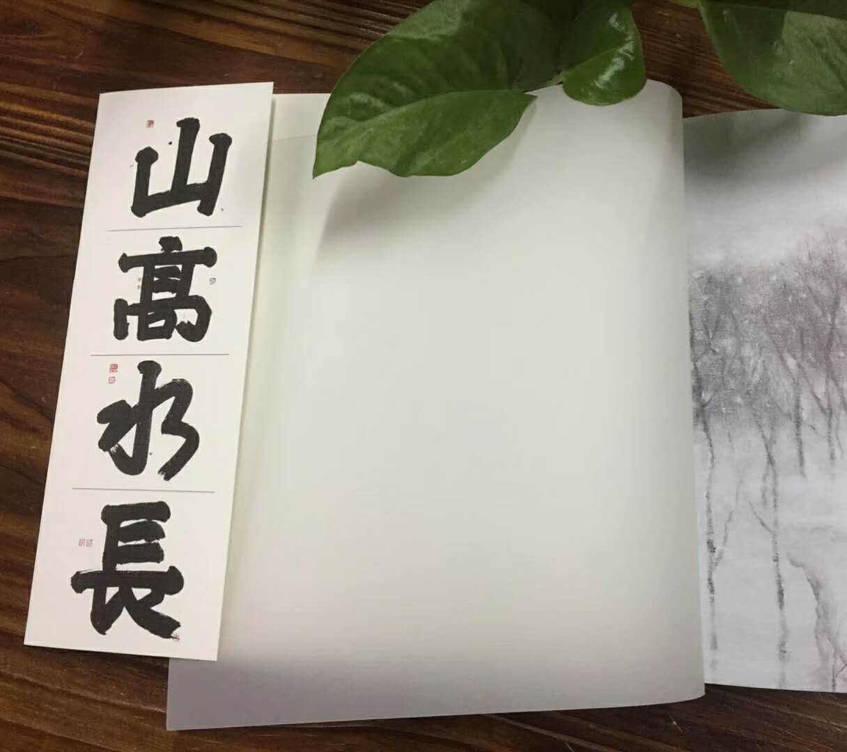 长沙印刷厂,画册印刷